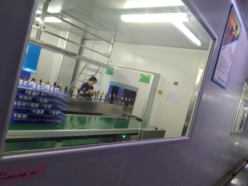 Dongguan JoonPang Plastic Mold Co., Ltd. linea di produzione del fabbricante
